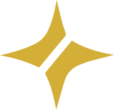 Starnexia Logistics logo